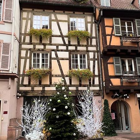 Les Suites Du Cygne Colmar Buitenkant foto