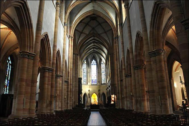 Les Suites Du Cygne Colmar Buitenkant foto