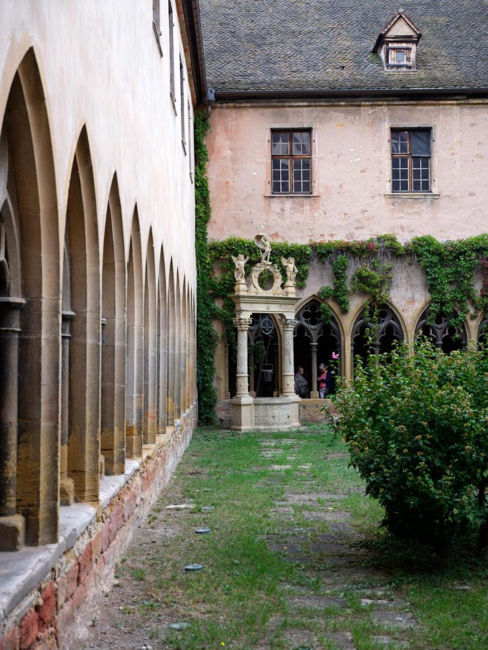 Les Suites Du Cygne Colmar Buitenkant foto