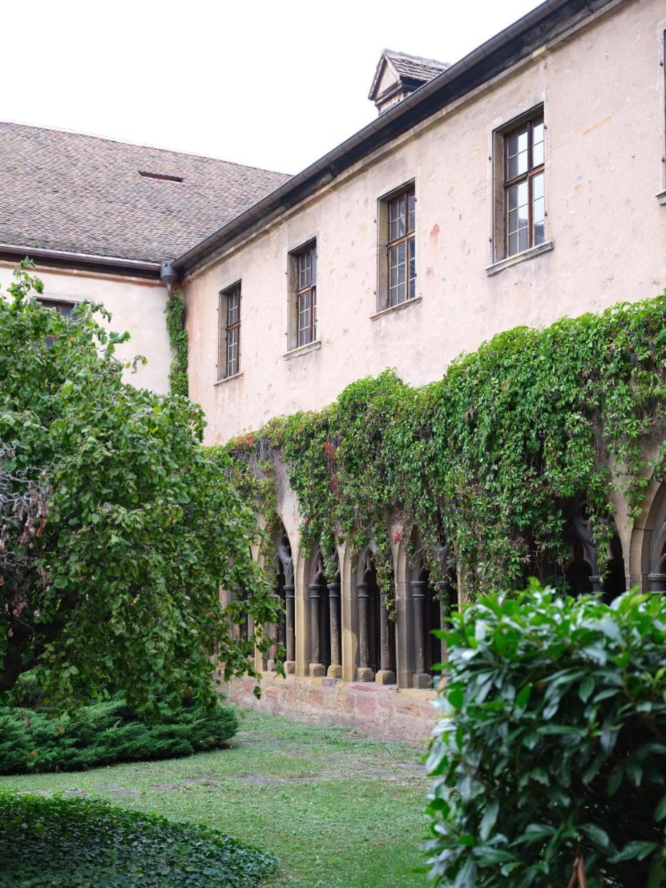 Les Suites Du Cygne Colmar Buitenkant foto